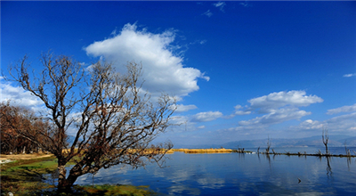 蕪湖市開展環(huán)境空氣降塵監(jiān)測質(zhì)量巡檢