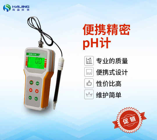 PHB-4型便攜式微機(jī)型PH計